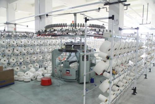 援疆暖民心 臺州助力新疆兵團第一師阿拉爾市民生發(fā)展技術(shù)開發(fā)紀實